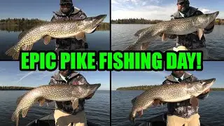 Epic Pike Fishing Day! | Crazy BIG PIKE ACTION!