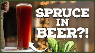 You wont believe how good SPRUCE BEER is! [Holiday Doppelbock Recipe]