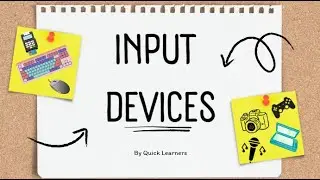 Input Devices | Types of Input Devices | Computer Fundamentals | @quicklearnerss