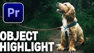 How To Highlight Objects In Premiere Pro | Quick Tutorial