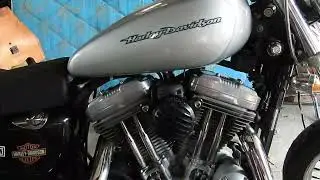 Sportster 16