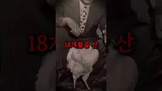 [절검단Lv1]좀비 치킨 마이크