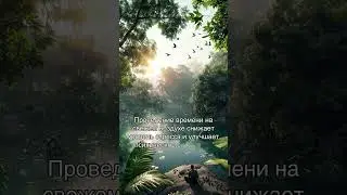 Исследование влияния природы на психику