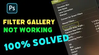 Photoshop Filter Gallery Disabled Problem Fix ( 2024 )