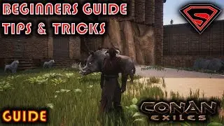 CONAN EXILES BEGINNERS GUIDE TIPS AND TRICKS - BEGINNERS GUIDE 2019