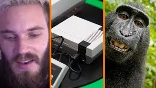 Pewdiepie Apologizes + NES Classic RETURNS + PETA vs Monkey Selfie - The Know