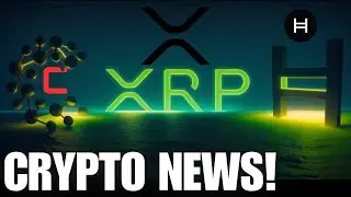 Ripple XRP CSPR Rumors & Hedera 📢 Watch All ✔️ CRYPTO NEWS