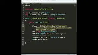 Laravel 11 - Google Translate #shorts  #laravel #laravel11 #shortvideo