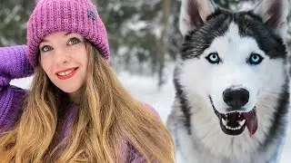 I tried Russia’s most magical winter activity ❄️ // Siberian husky sledding