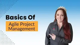 Basics of Agile Project Management: Agile Project Management 101