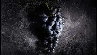 Классика Испании Темпранильо Tempranillo чистокровный испанец