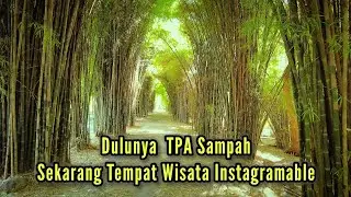 Surabaya Keren ! Transformasi Dari TPA Menjadi Wisata Hutan Bambu Mirip Di Jepang