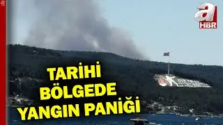 Çanakkaledeki yangında son durum ne? Tarihi bölgede yangın paniği... | A Haber