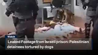 Leaked Footage from Israeli prison: Palestinian detainees tortured by dogs