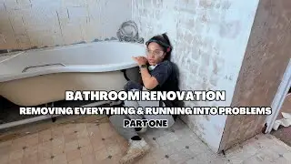 Bathroom Reno Part 1 | We have a big problem ...