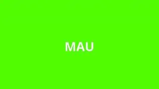 what is the meaning of MAU