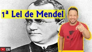 1ª LEI DE MENDEL - Genética - Biologia com o Tubarão - Prof. Andrey Freire