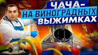 ЧАЧА - технология приготовления самогона на виноградных выжимках.