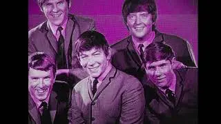 THE ANIMALS    stereo new  " It's My Life "   2023 mix.....