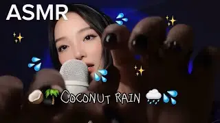 ASMR // Coconut Rain! 🌧️🥥🌴- personal attention, xịt nước, custom, handmovements, gõ gõ…| Deadzonnne