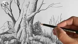 How to draw trees with pencil for beginners . Landscape Drawing Basics!