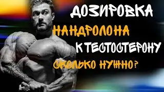ДОЗИРОВКА НАНДРОЛОНА К ТЕСТОСТЕРОНУ - СКОЛЬКО НУЖНО