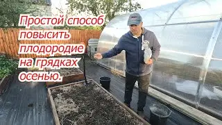How to improve soil fertility in the garden in the fall. Proven method!