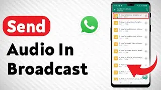 How To Send An Audio In Broadcast On WhatsApp - Full Guide