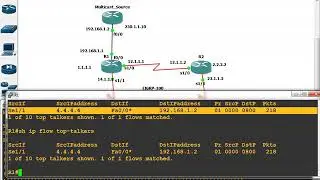 EEM NETFLOW QOSbasics