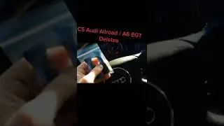 C5 Audi Allroad A6 S4 EGT Deletes