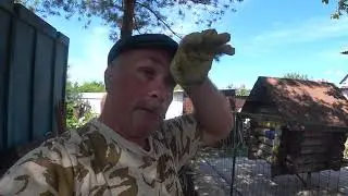Свой дом!!! Там надо работать!!!