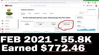 Feb 2021- My Youtube Monetization Earnings Progress