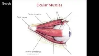 Theory, Practice, and Standardization of Eye-tracking Technology