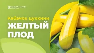 Кабачок цуккини ЖЕЛТЫЙ ПЛОД | #кабачки #огород #рассада #семена #семенамаркет