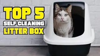 Best Self Cleaning Litter Box Reviews 2024 | Best Budget Self Cleaning Litter Boxs (Buying Guide)