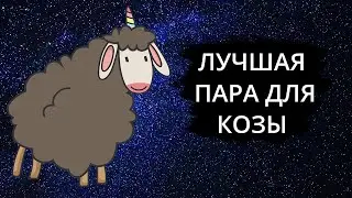 Совместимость знака Коза - лучшая и худшая пара