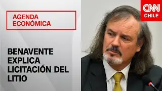 Estrategia Nacional del Litio: Vicepresidente de Corfo explica proceso de licitación