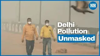 What is GRAP? Delhi Air Pollution Explained | National Herald