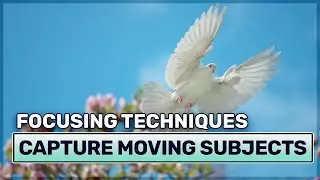 How to Focus on Moving Subjects - DSLR Photography Tutorial
