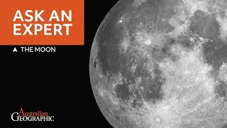 Everything You Need to Know About The Moon