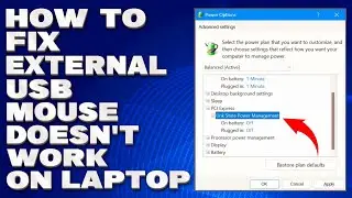 How To Fix External USB Mouse Doesnt Work on Laptop [Solution]