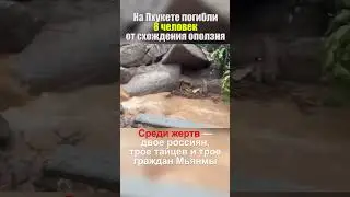 На Пхукете погибли 8 человек от схождения оползня