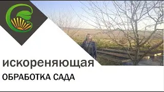 Искореняющая обработка сада