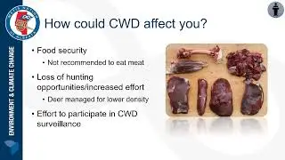 Chronic Wasting Disease and Caribou Conservation Engagement Presentation