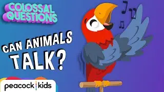 Can Animals Talk To Each Other? | COLOSSAL QUESTIONS