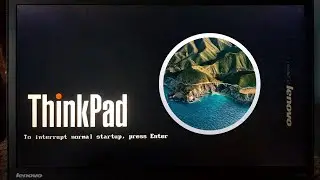 MacOS Big Sur on Lenovo ThinkPad T440s