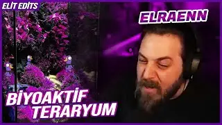 ELRAENN - CORDİ'YE BİYOAKTİF TERARYUM YAPICAM BEN