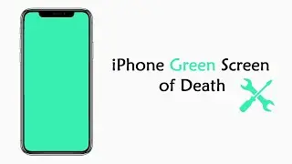 How to Fix iPhone X Green Screen of Death [5 Ways]