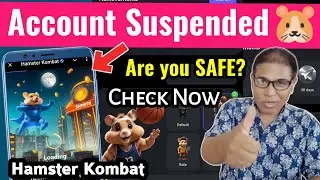 Ban? Check if your Hamster Kombat Account is Suspended or Not | Your Hamster Kombat is Ban or Not