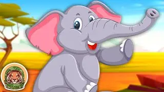 Meet The Elephant! | Animal Songs For Kids | KLT WILD